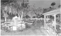 Old Town Tortilla Factory 