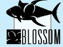Blossom 