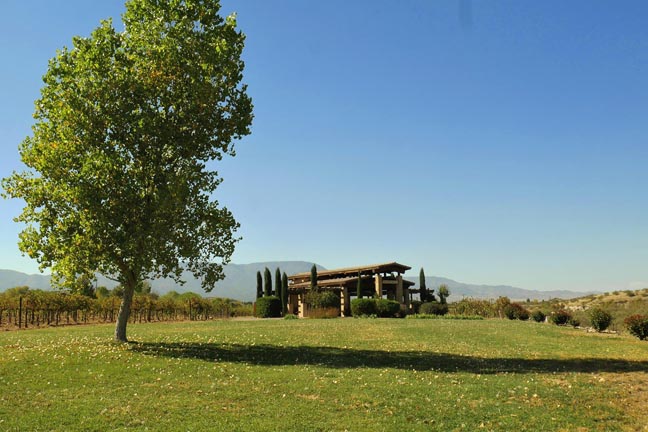 Alcantara Winery