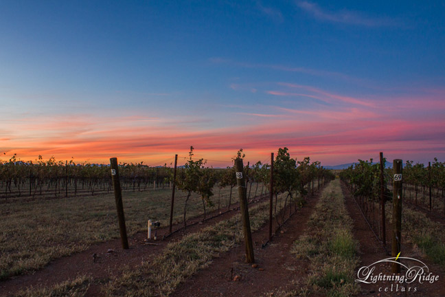 Lightning Ridge Cellars