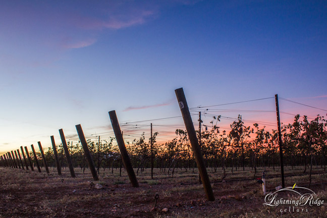 Lightning Ridge Cellars