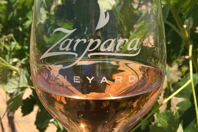 Zarpara Vineyard