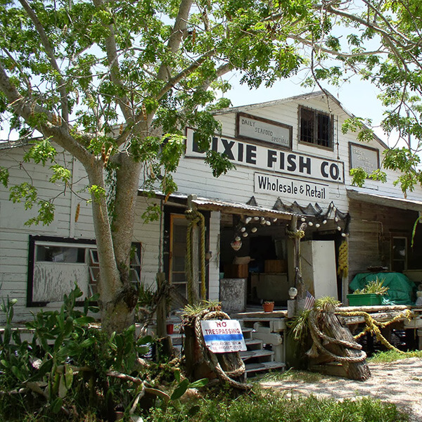 The Dixie Fish Co.
