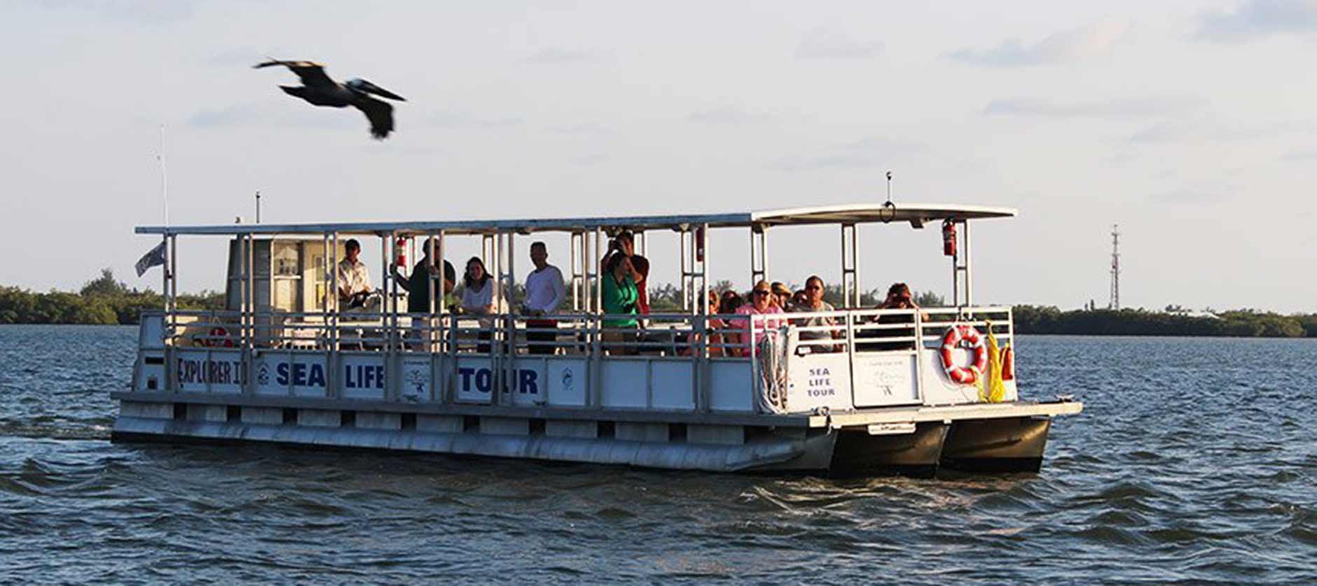 Tarpon Bay Explorers