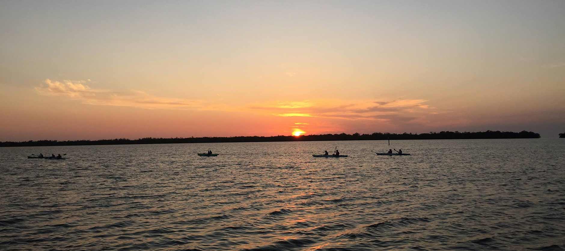 Tarpon Bay Explorers