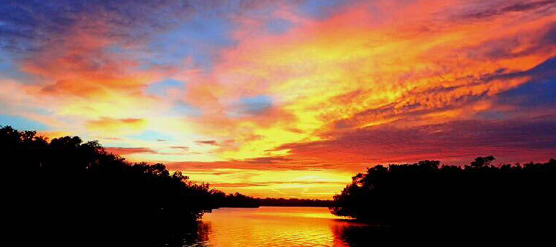 Tarpon Bay Explorers