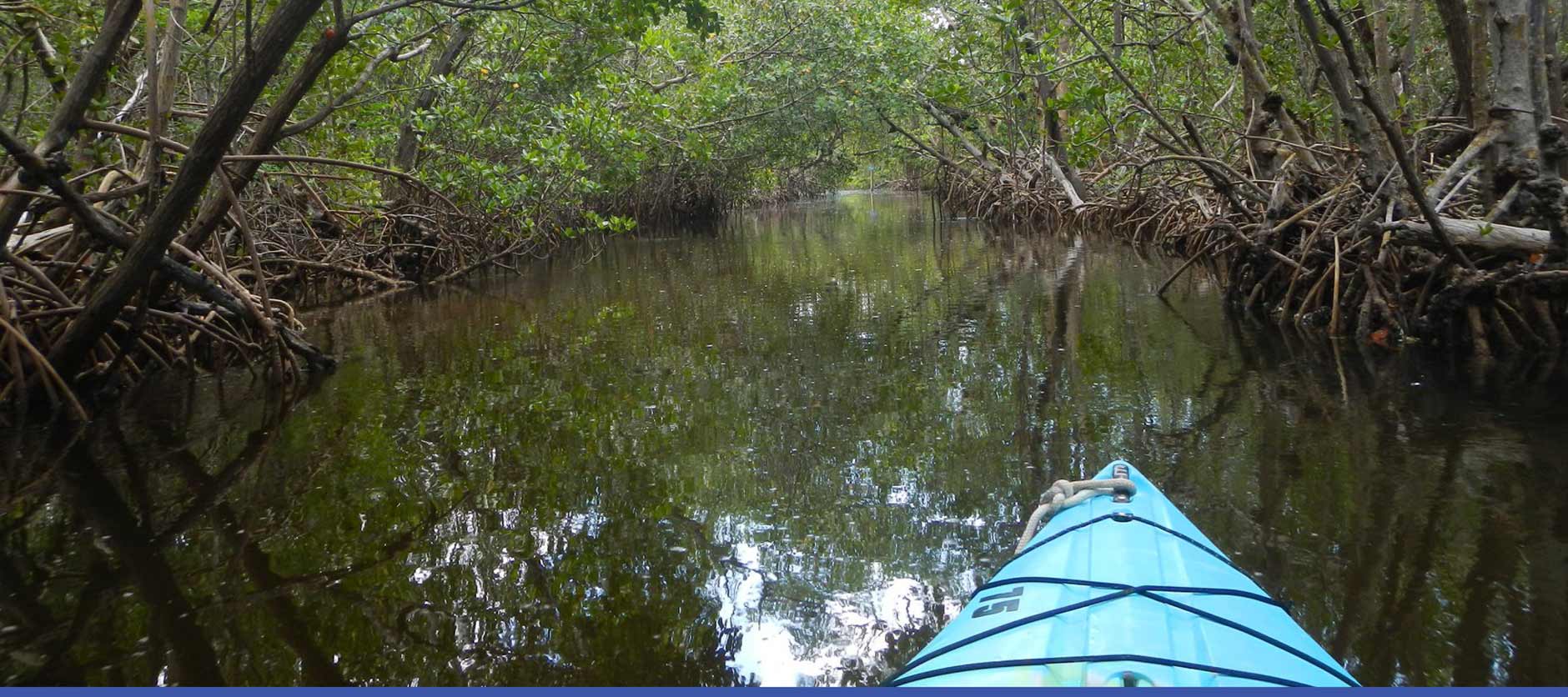 Tarpon Bay Explorers