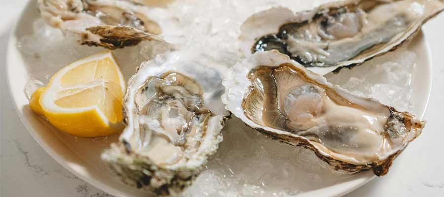 Blue Pointe Oyster Bar & Seafood Grill