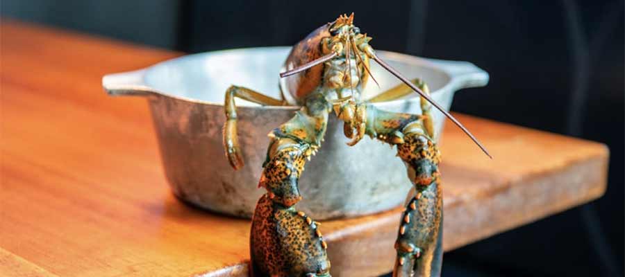 Blue Pointe Oyster Bar & Seafood Grill